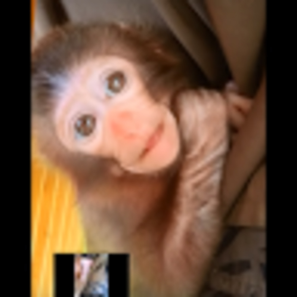 Meet your Posher, Gina